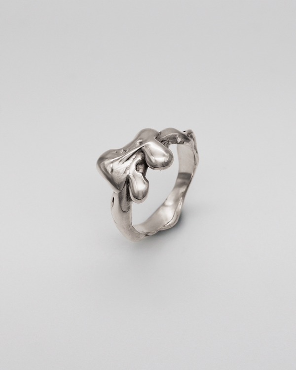 Silver ring on a light gray background